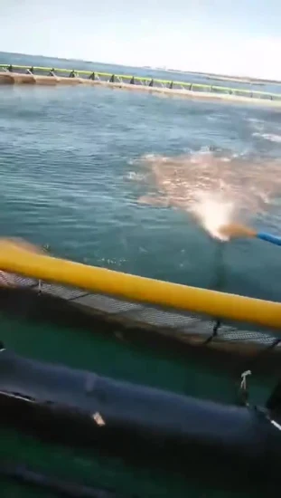 Sistema de Jaula Flutuante Resistente a Tempestade em Mar Profundo para Pesca